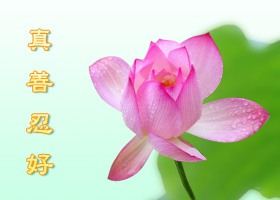 ​빈사 상태의 환자가 진상을 안 후 생명이 연장되다